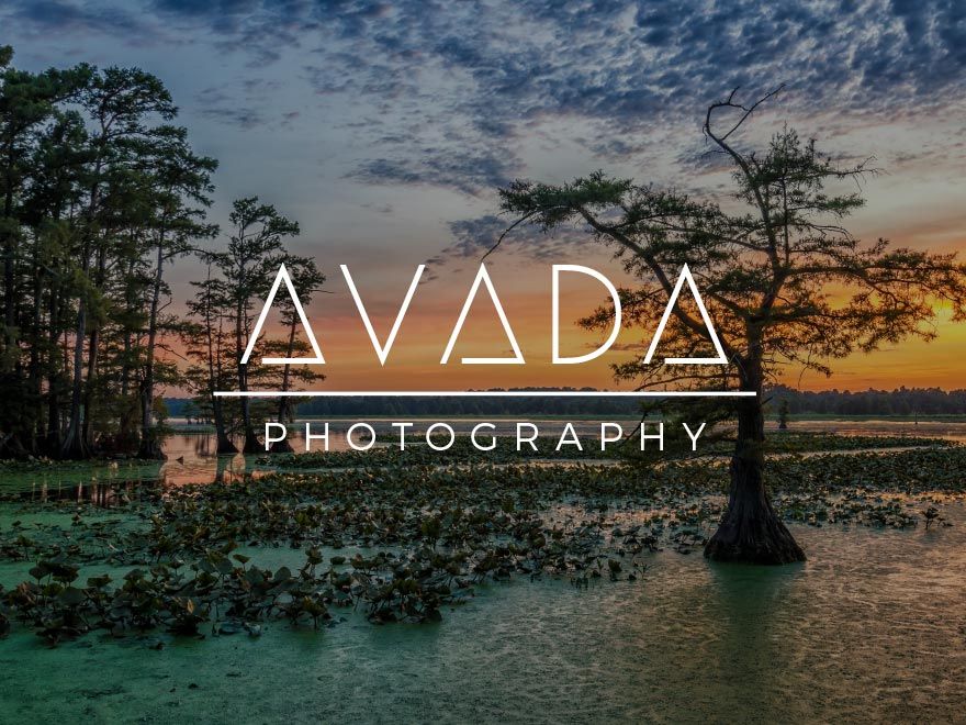 avada-photography-demo-image
