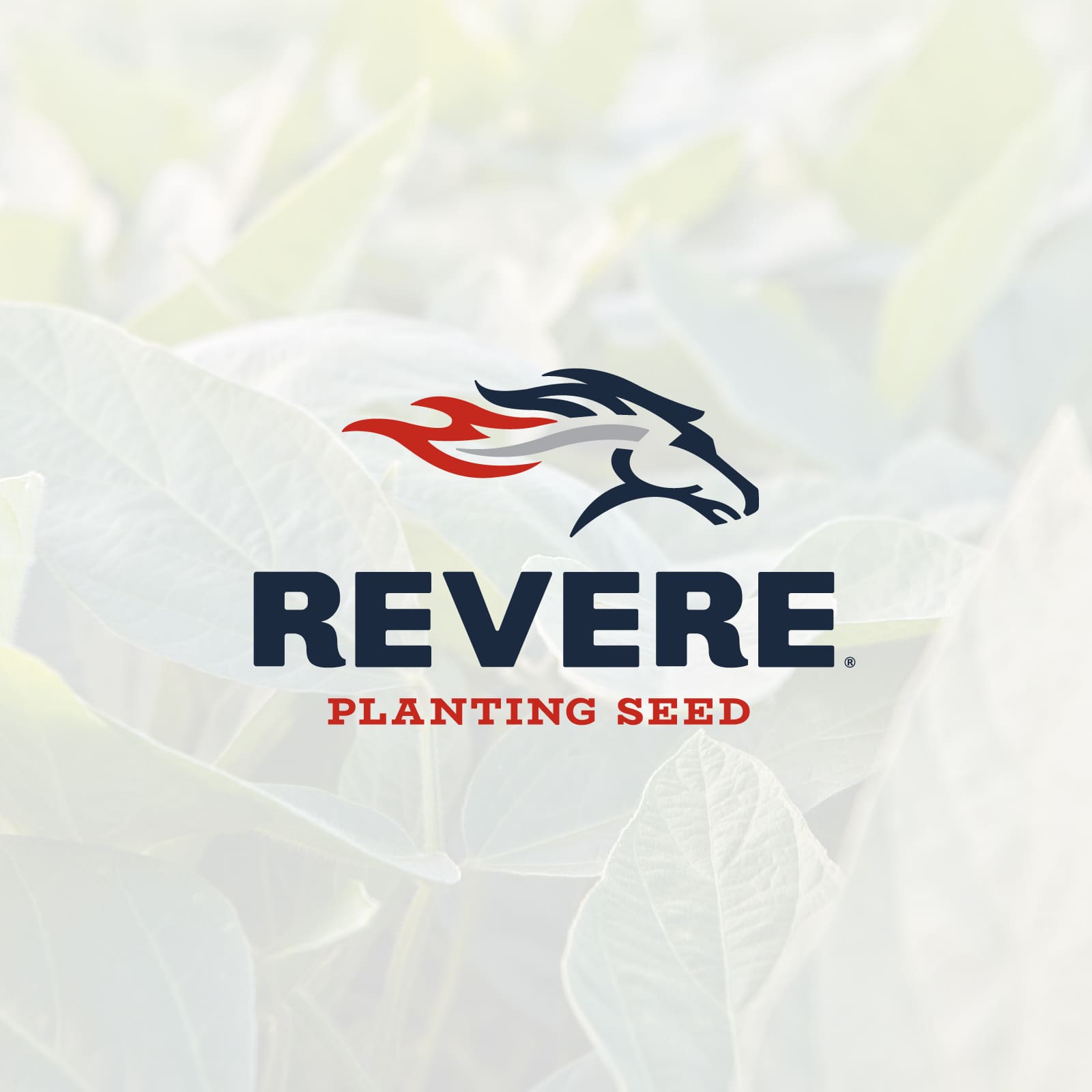 Revere Planting Seed logo