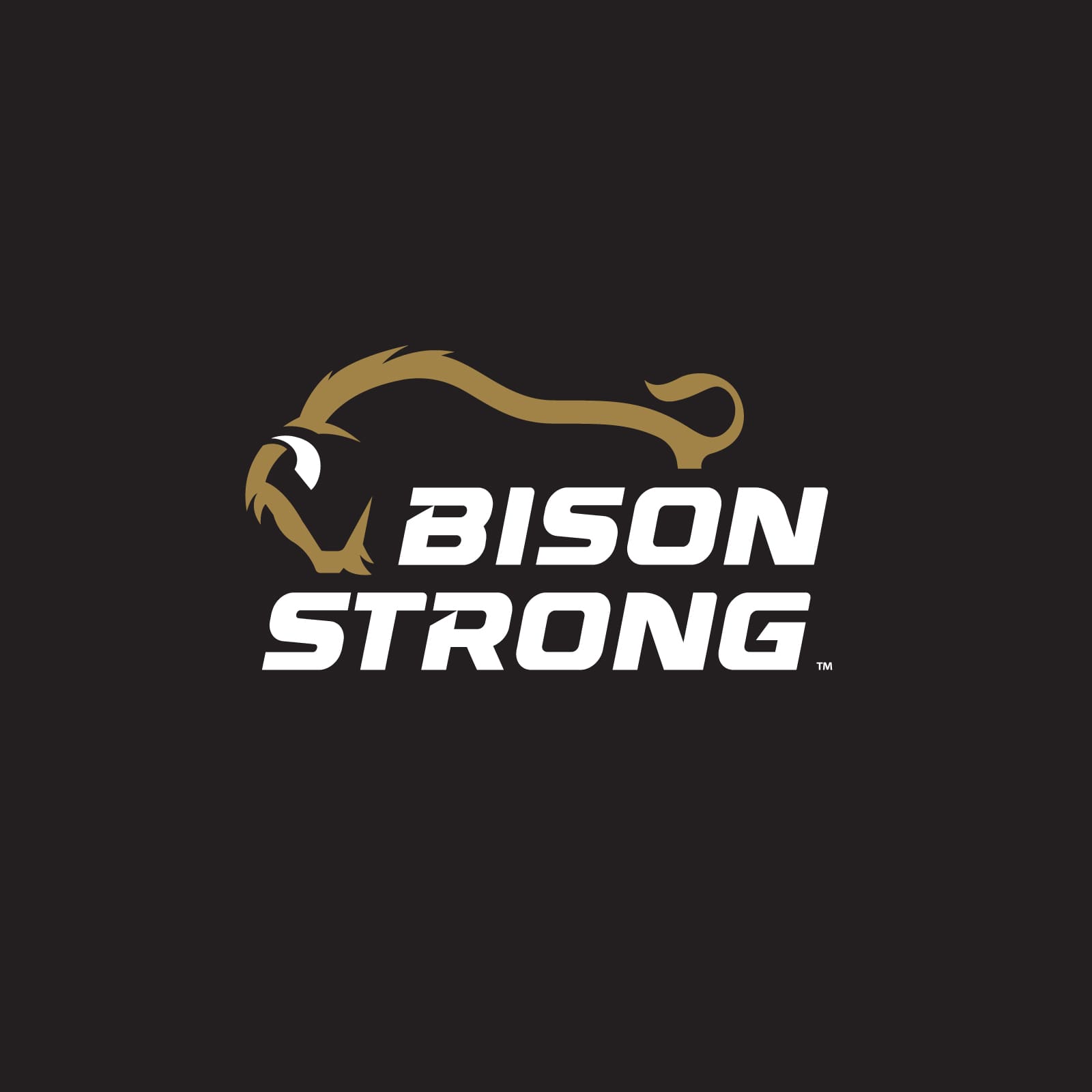 Bison Strong logo